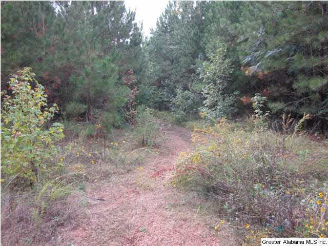 191 County Road 149 Calera, AL 35040 - Photo 3 of 7