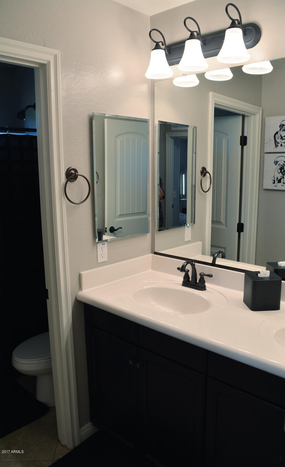 3508 East Sheffield Road Gilbert, AZ 85296 - Photo 34 of 54 Bathroom 1