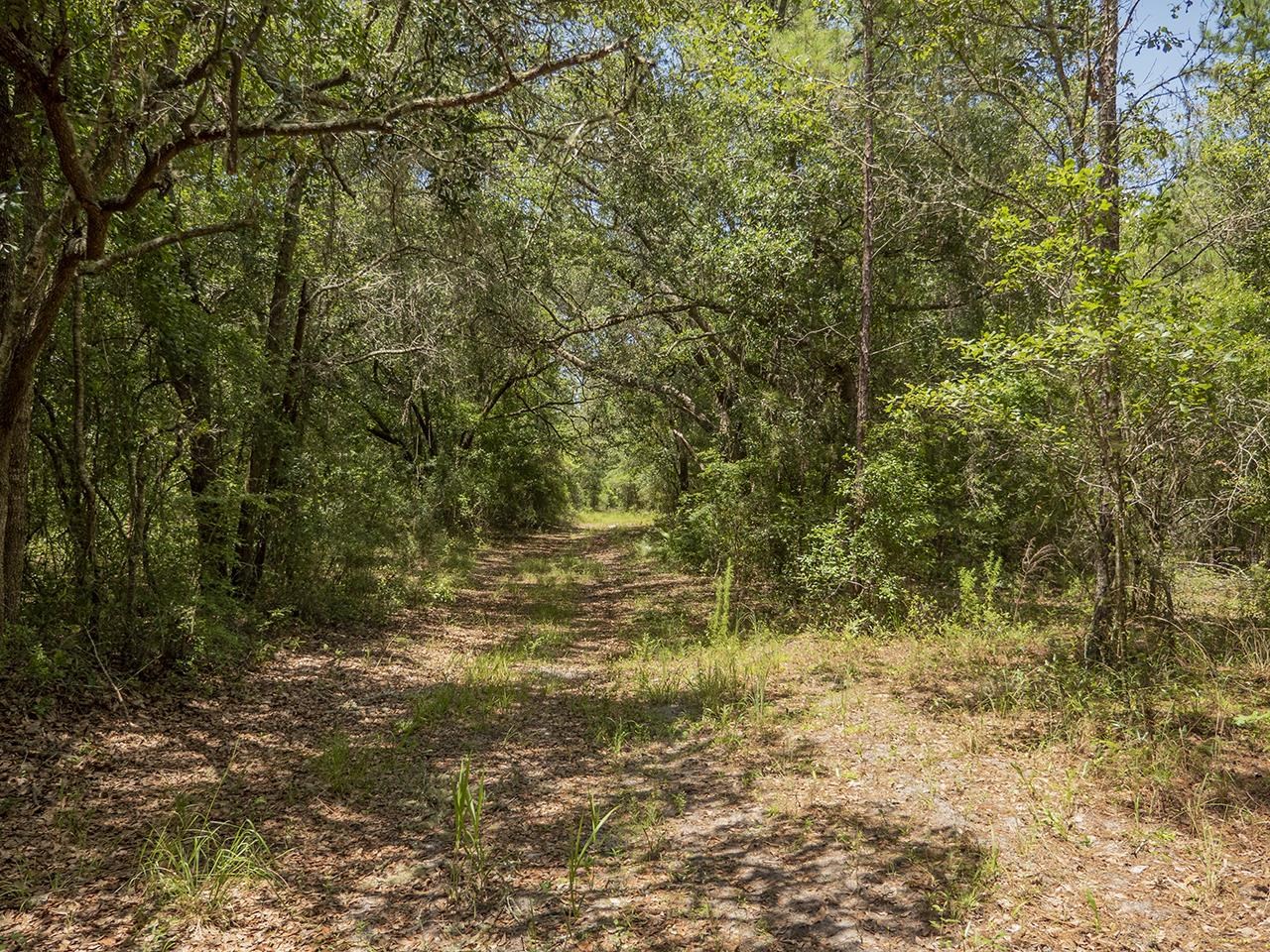Vacant Southwest Hike Lake Road Madison, FL 32340 - Photo 15 of 35