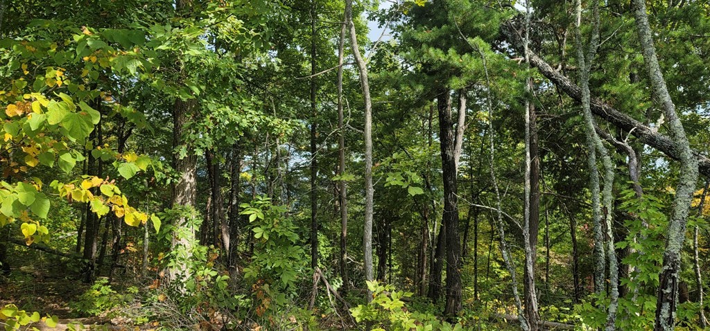 97 Shell Mountain Road Sevierville, TN 37876 - Photo 12 of 14