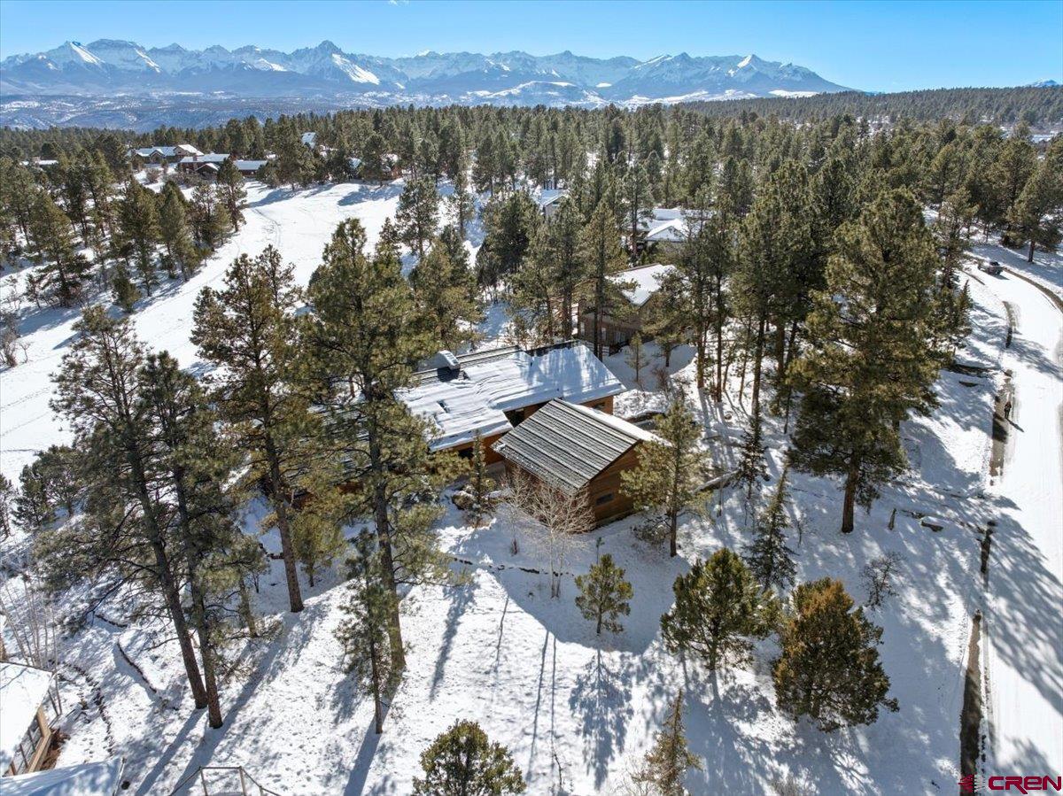 412 South Badger Trail Ridgway, CO 81432 - Photo 39 of 45