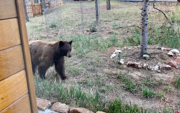 $1,399,000 | 412 South Badger Trail, Ridgway, CO 81432