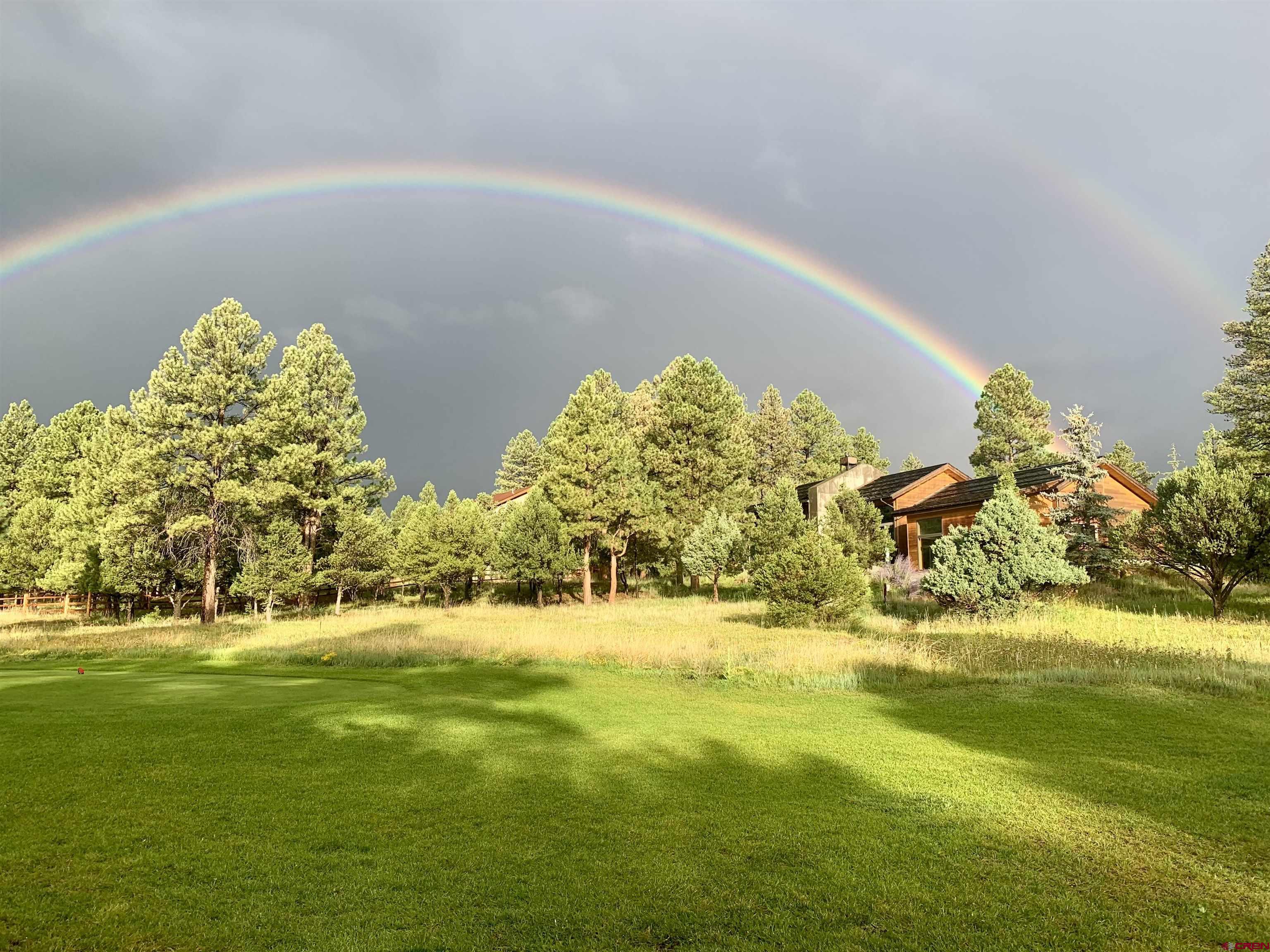 412 South Badger Trail Ridgway, CO 81432 - Photo 43 of 45 a view of swimming pool