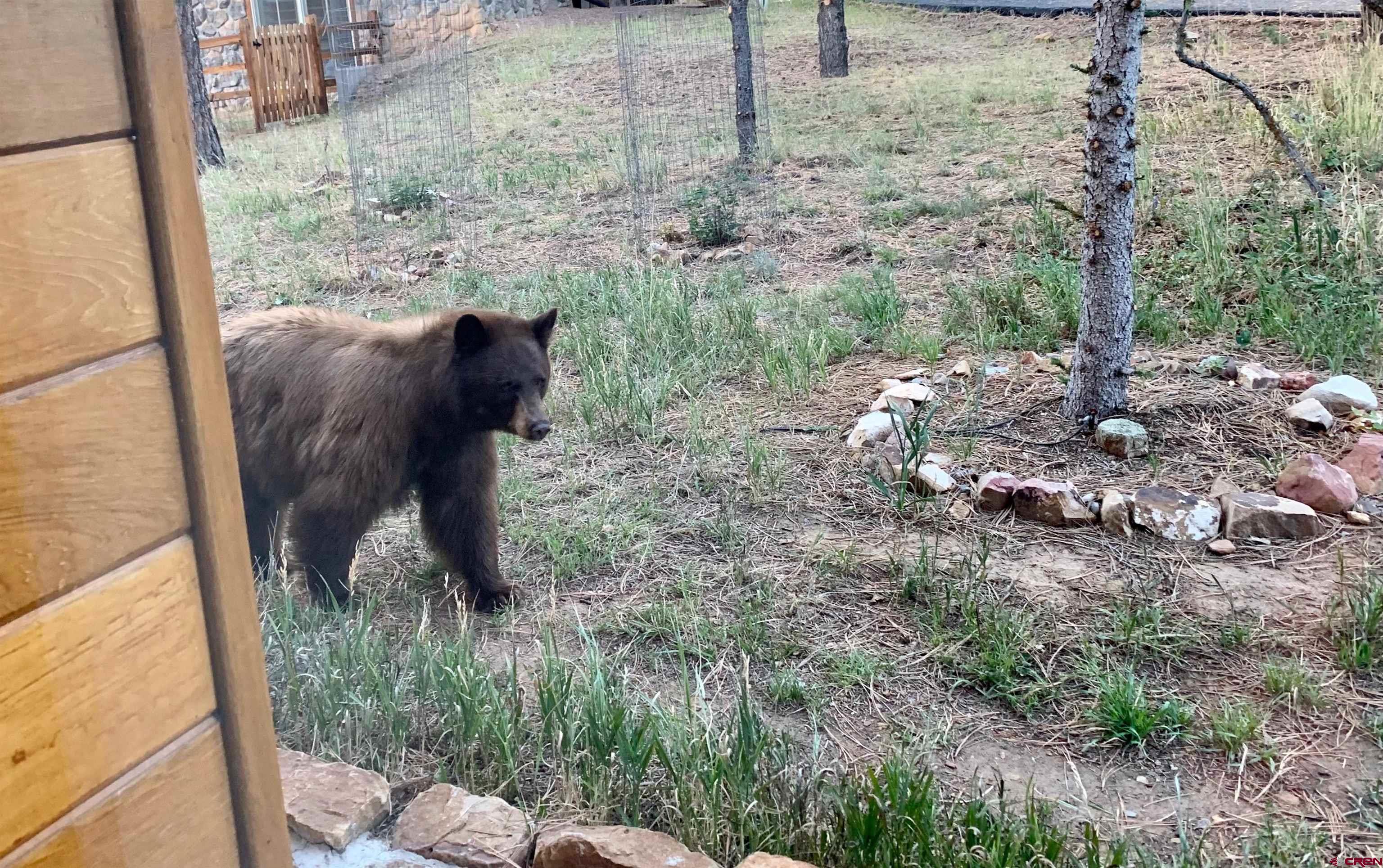 412 South Badger Trail Ridgway, CO 81432 - Photo 44 of 45