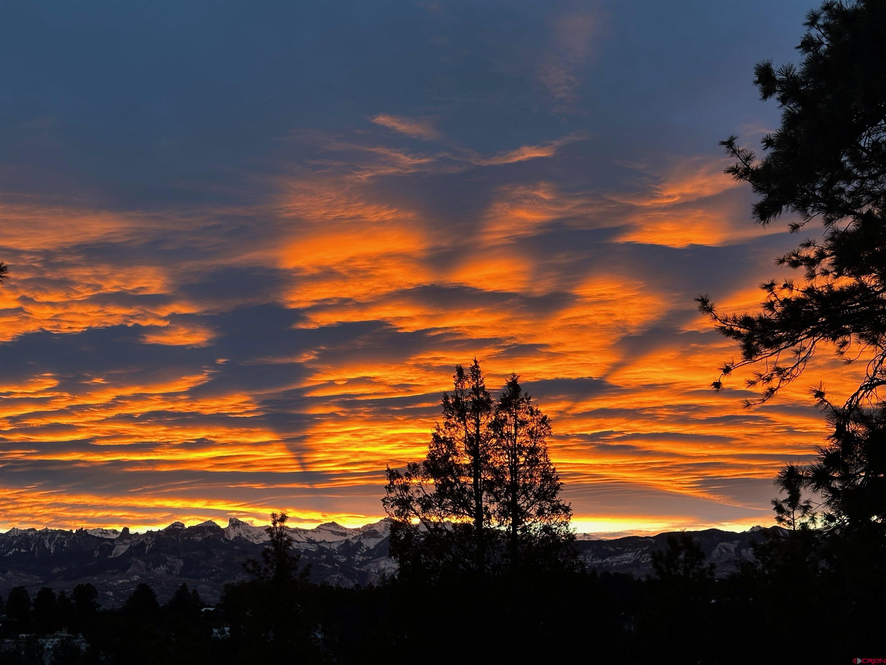 412 South Badger Trail Ridgway, CO 81432 - Photo 45 of 45