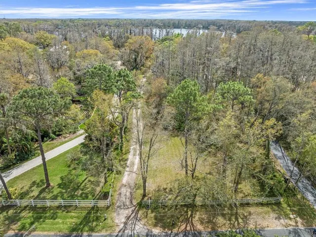 a view of a yard with a tree