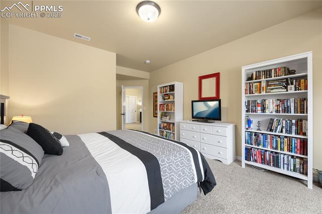 1131 Old North Gate Road Colorado Springs, CO 80921 - Photo 28 of 39 Basement Bedroom with light carpet and baseboards