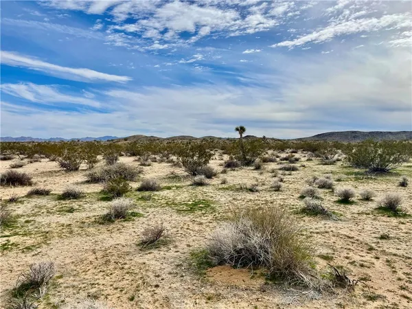 $55,000 | 0 Willie Way, Landers, CA 92285