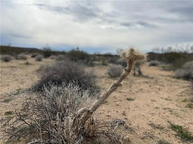 $55,000 | 0 Willie Way, Landers, CA 92285