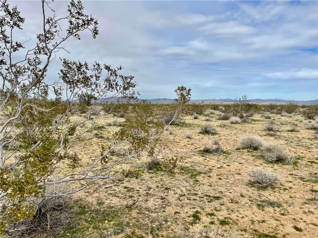 $55,000 | 0 Willie Way, Landers, CA 92285