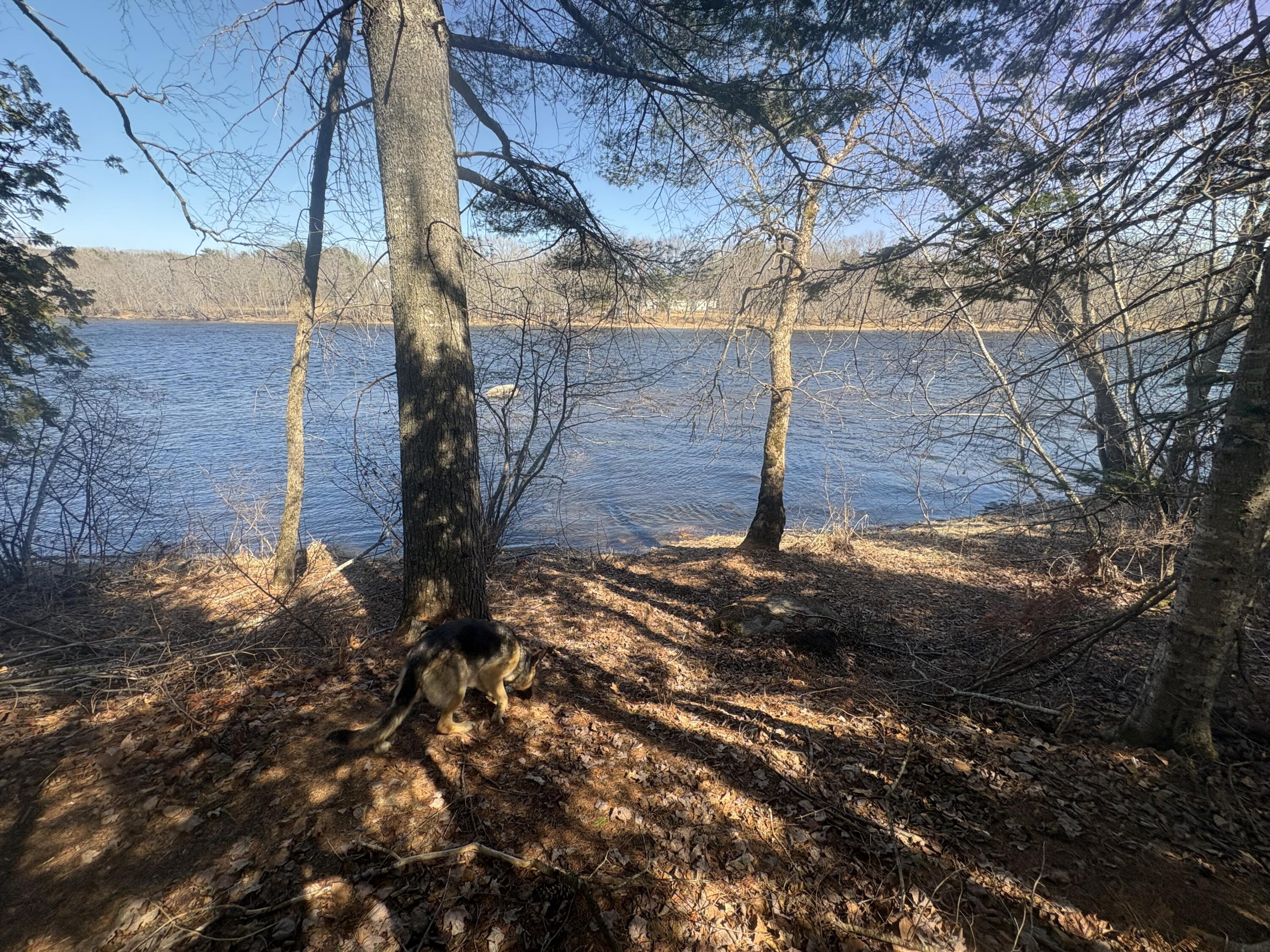 Lot 4 West Indian Road Lincoln, ME 04457 - Photo 22 of 29