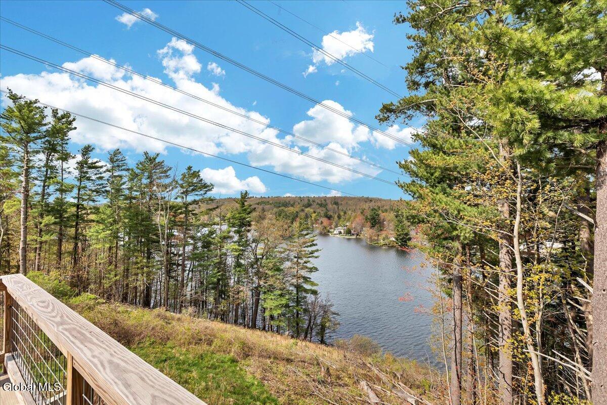 30 Harriman Road Sand Lake, NY 12018 - Photo 49 of 59 48-IMG_6025
