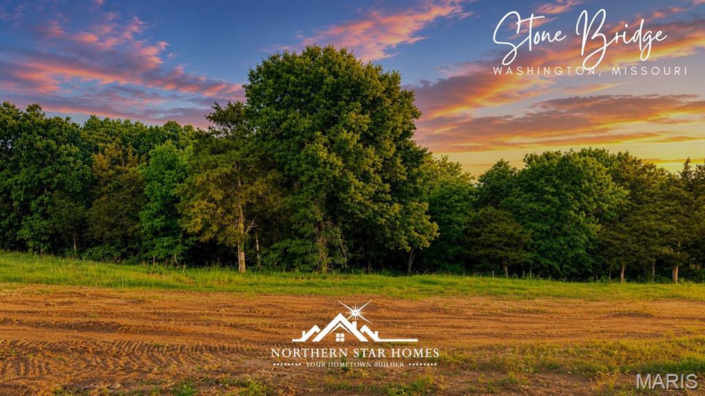 214 Fiddlers Close Road, Unit 214 STB PHASE V Washington, MO 63090 - Photo 2 of 10