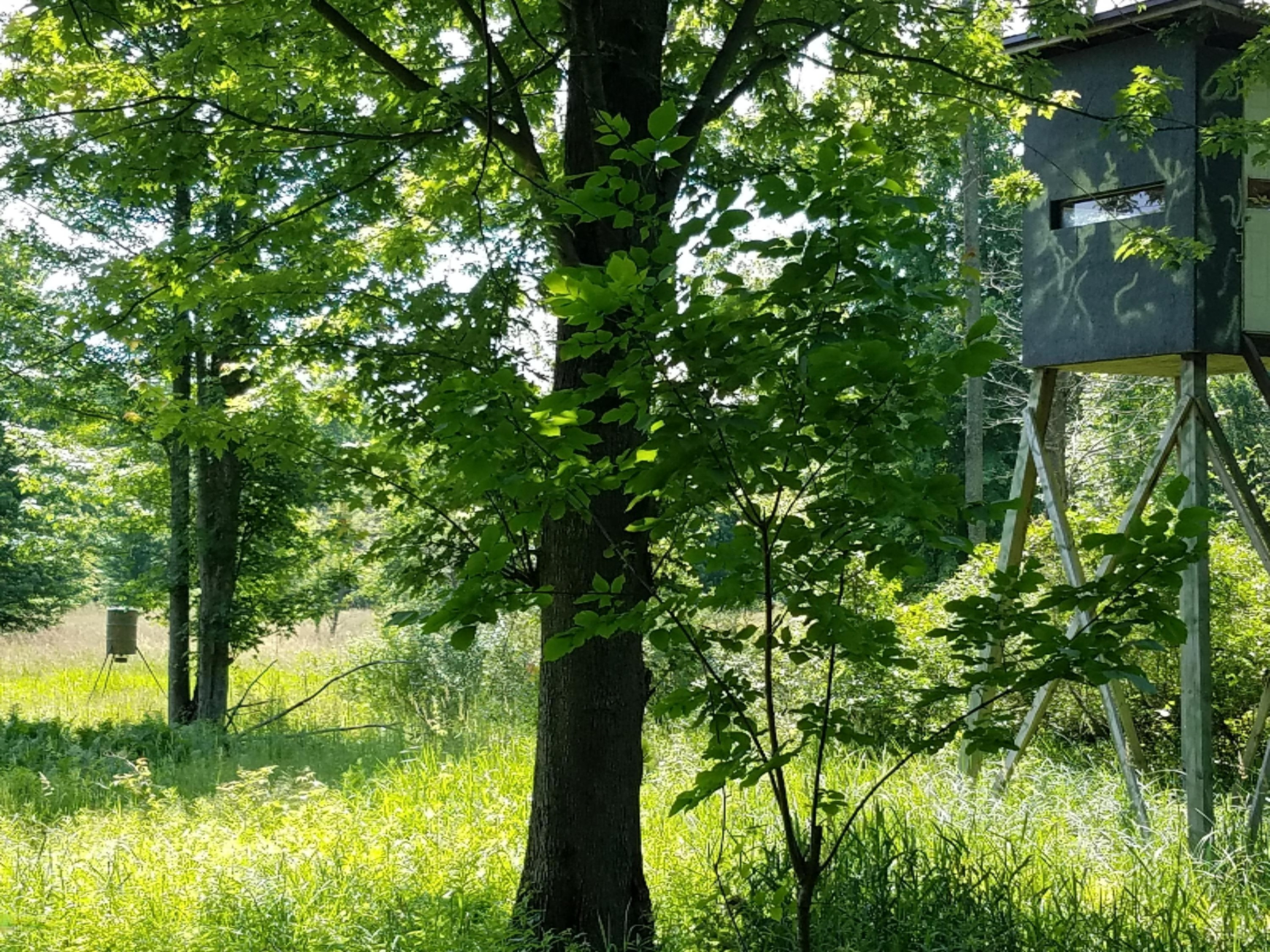 0 North Ordway Road Free Soil, MI 49411 - Photo 19 of 28 20170627_114123