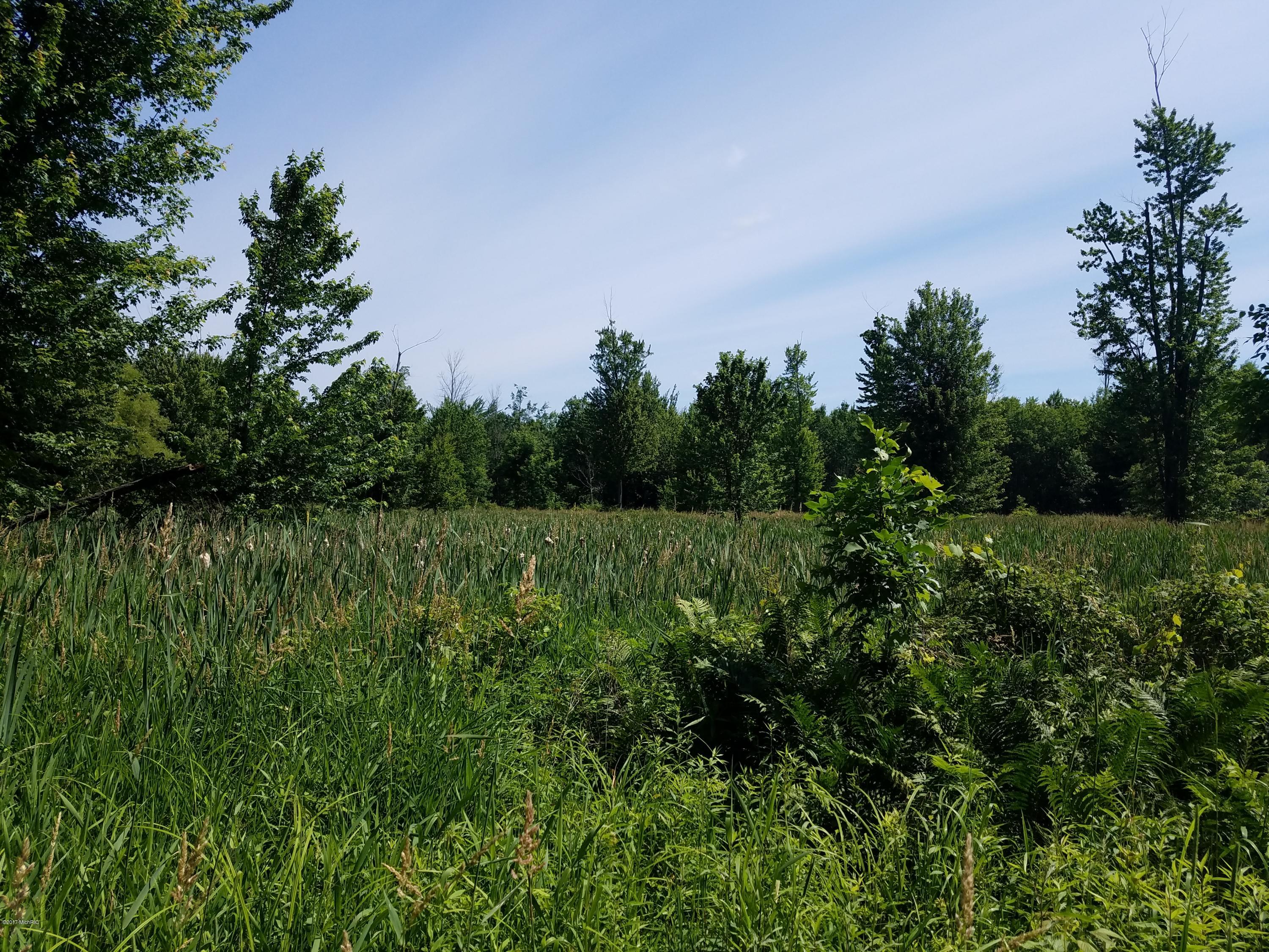 0 North Ordway Road Free Soil, MI 49411 - Photo 20 of 28 20170627_114238