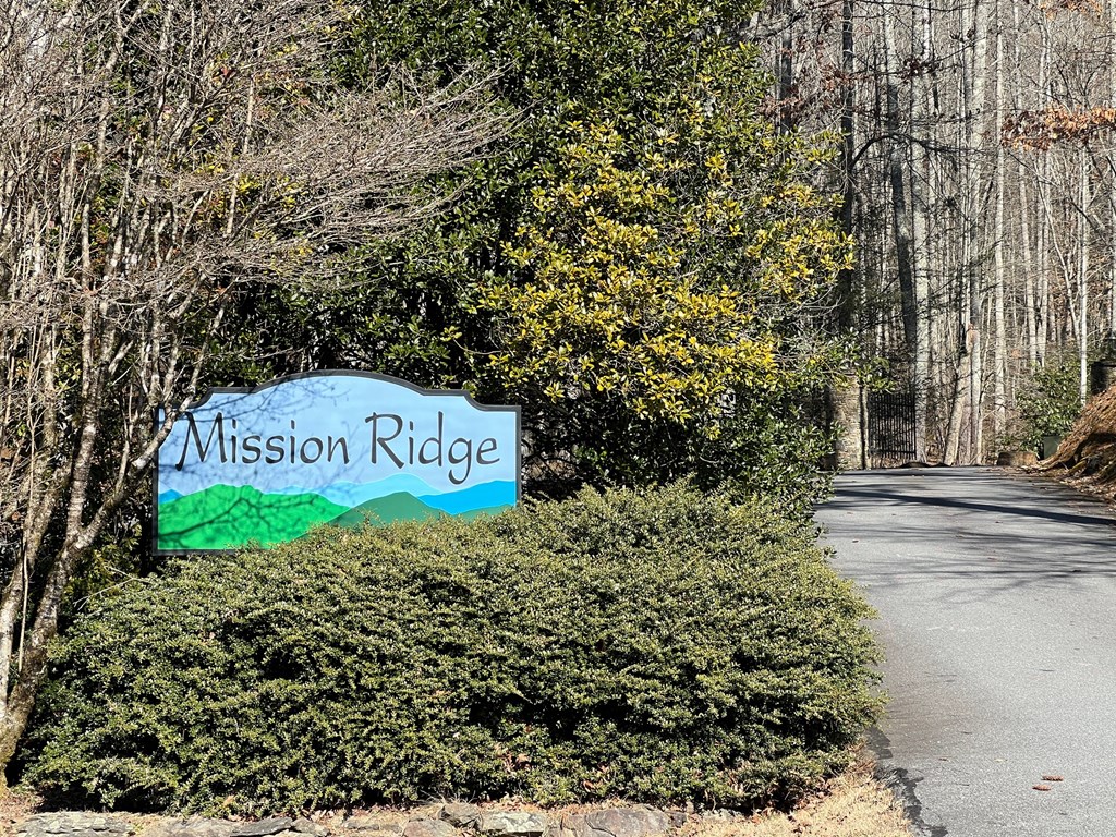Lot 19 Mission Ridge Hayesville, NC 28904 - Photo 12 of 13