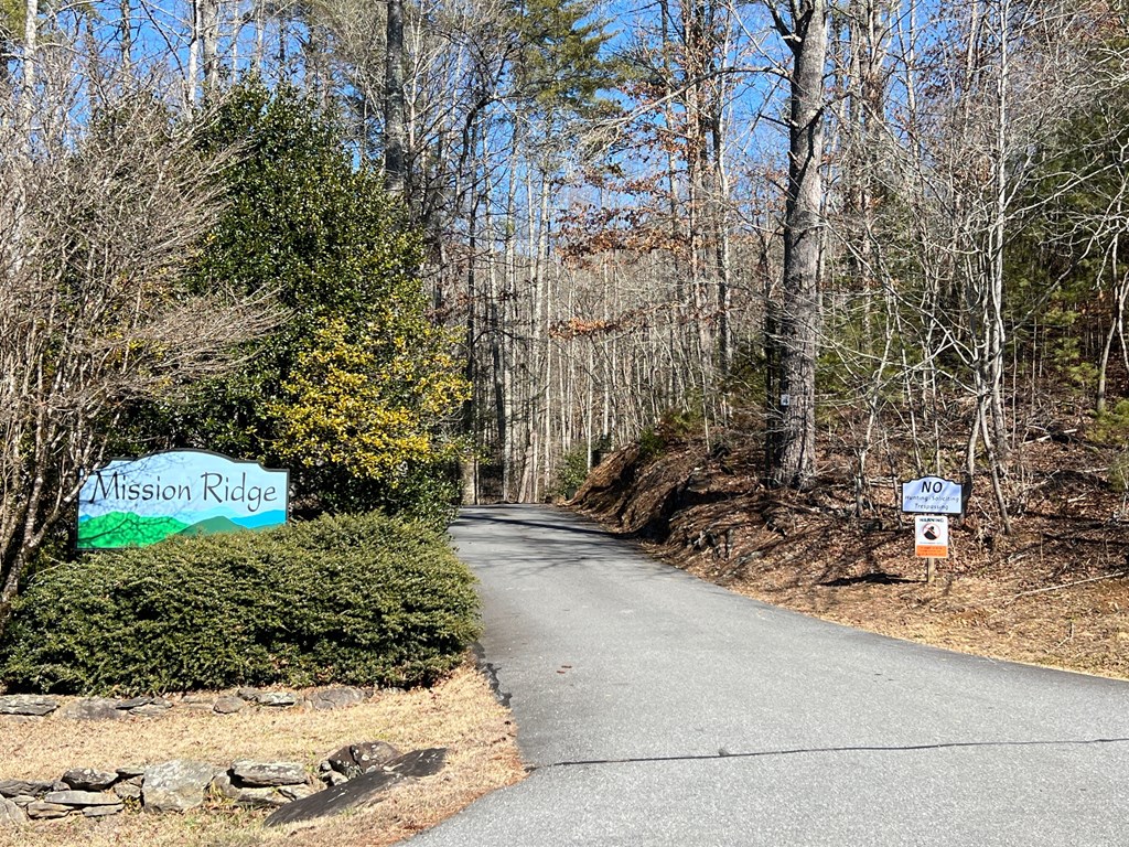 Lot 19 Mission Ridge Hayesville, NC 28904 - Photo 13 of 13