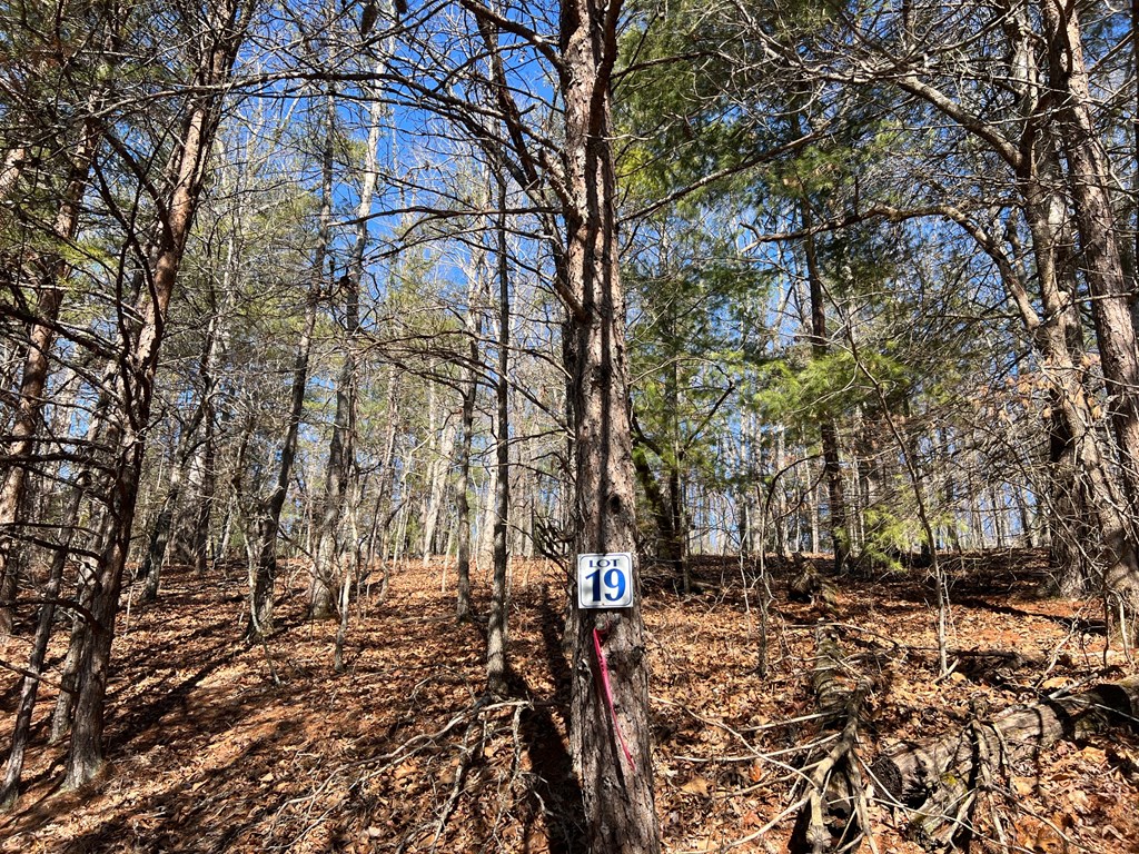 Lot 19 Mission Ridge Hayesville, NC 28904 - Photo 5 of 13