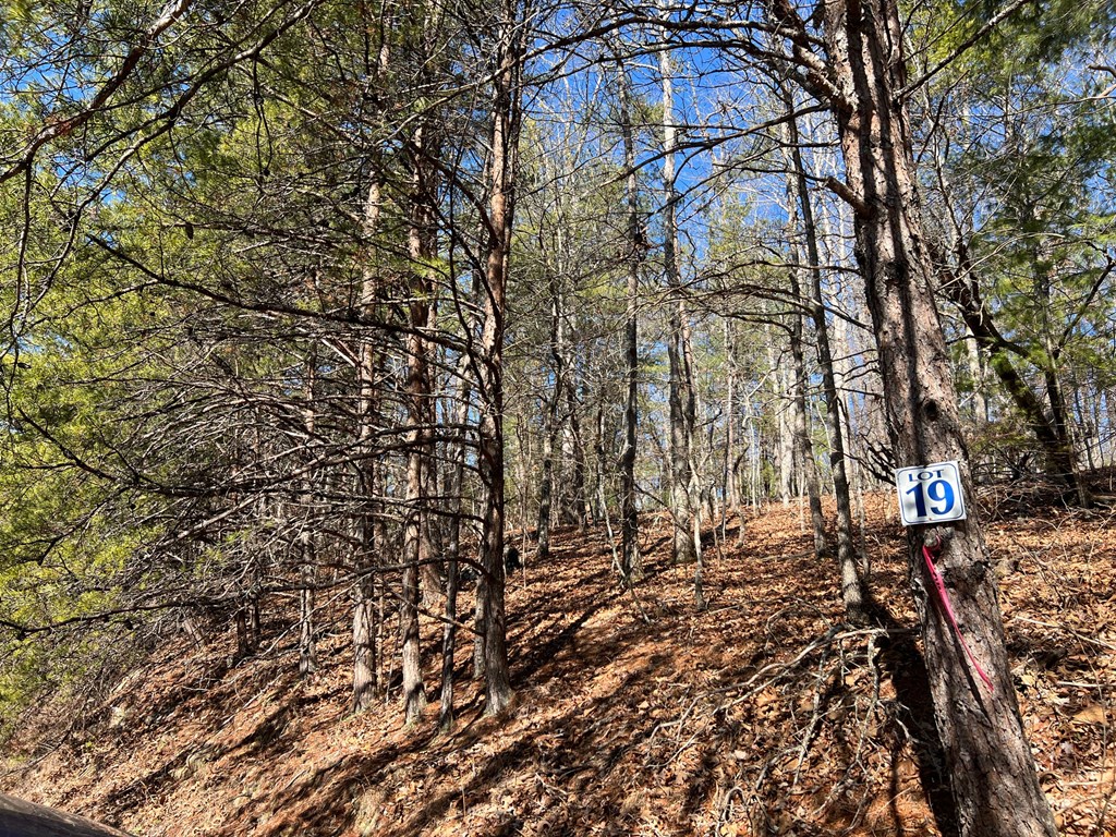 Lot 19 Mission Ridge Hayesville, NC 28904 - Photo 6 of 13