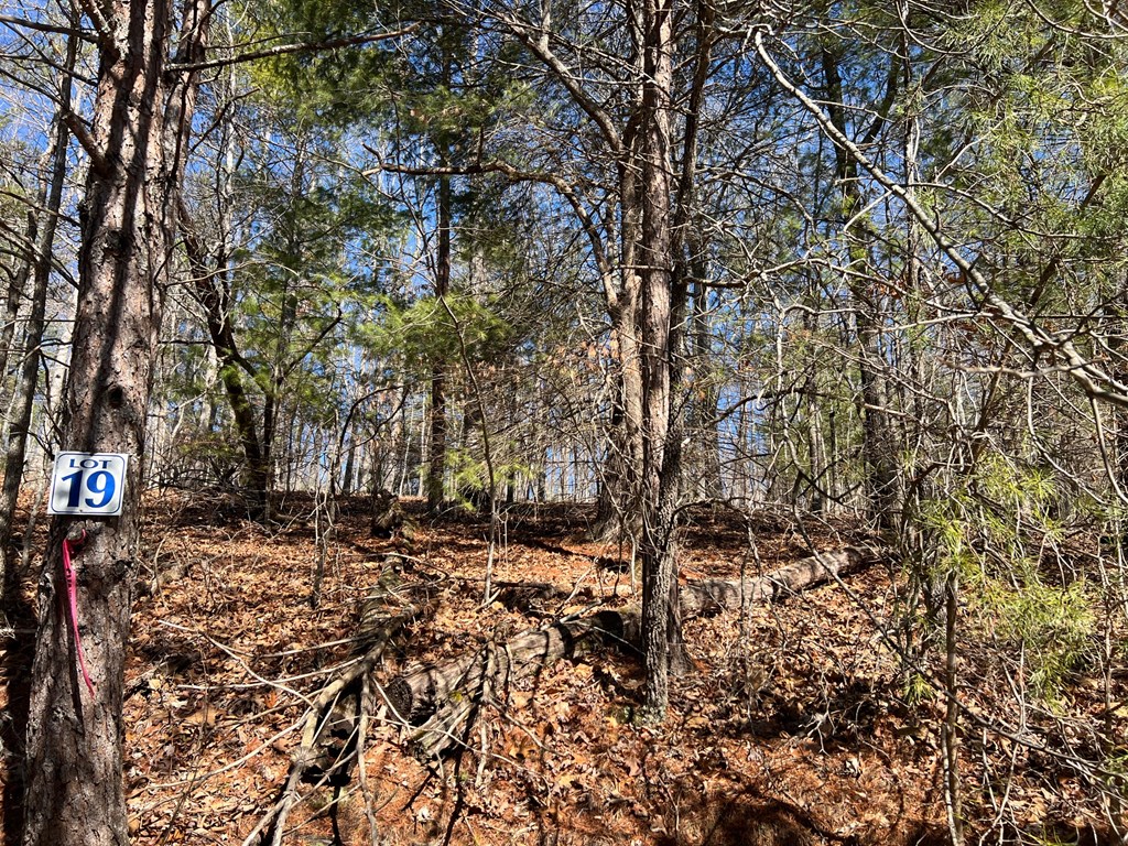 Lot 19 Mission Ridge Hayesville, NC 28904 - Photo 8 of 13