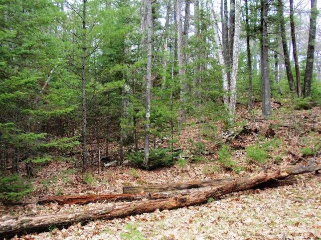 1630 Cranberry Lake Road Eagle River, WI 54521 - Photo 3 of 18 Gallery Image 3