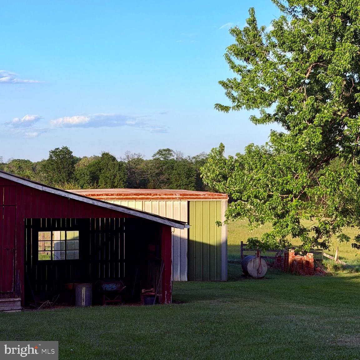 11081 Marquis Road Unionville, VA 22567 - Photo 10 of 49 a view of a backyard with plants and large trees
