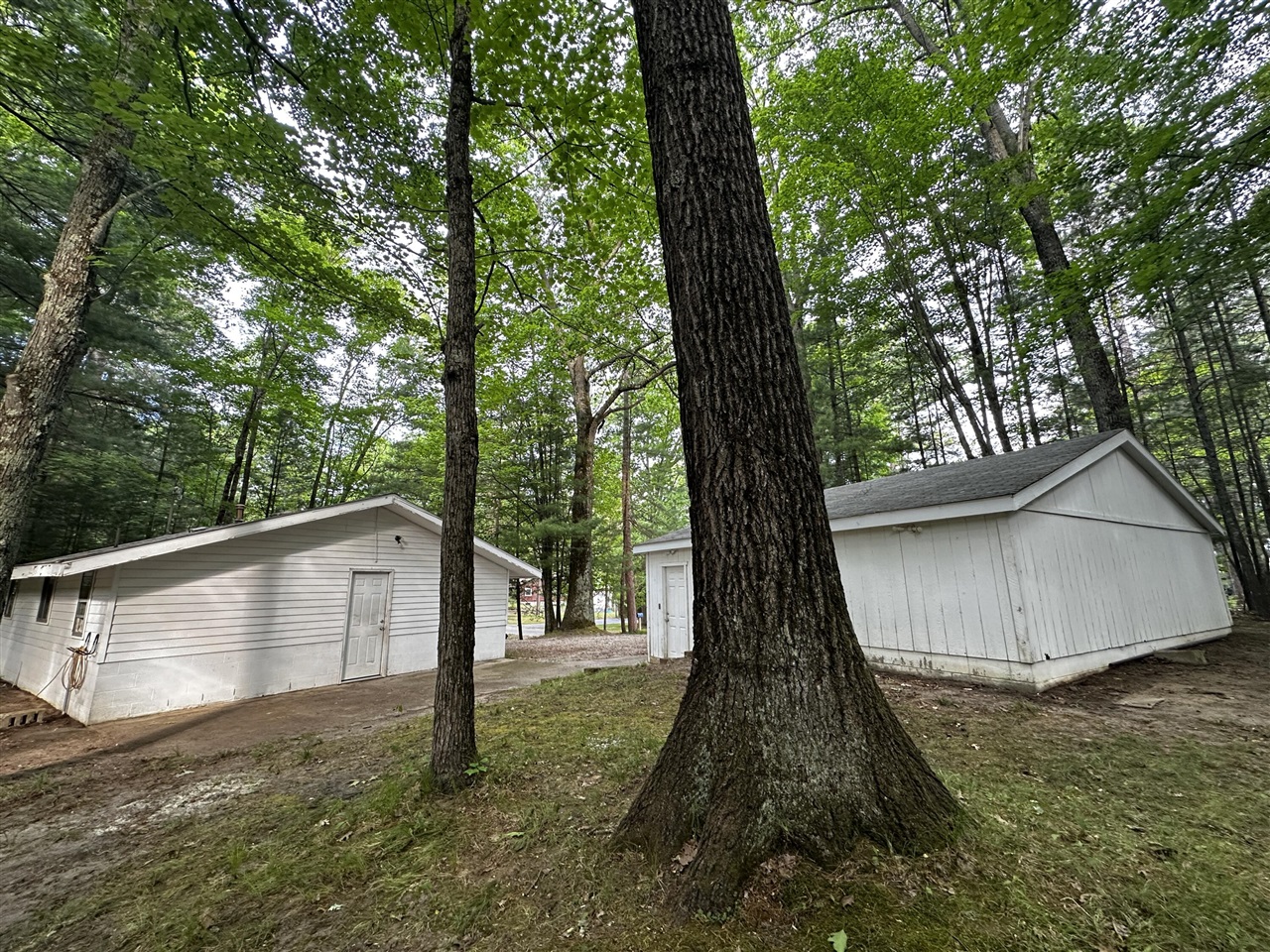 5112 Maple Street Irons, MI 49644 - Photo 2 of 21