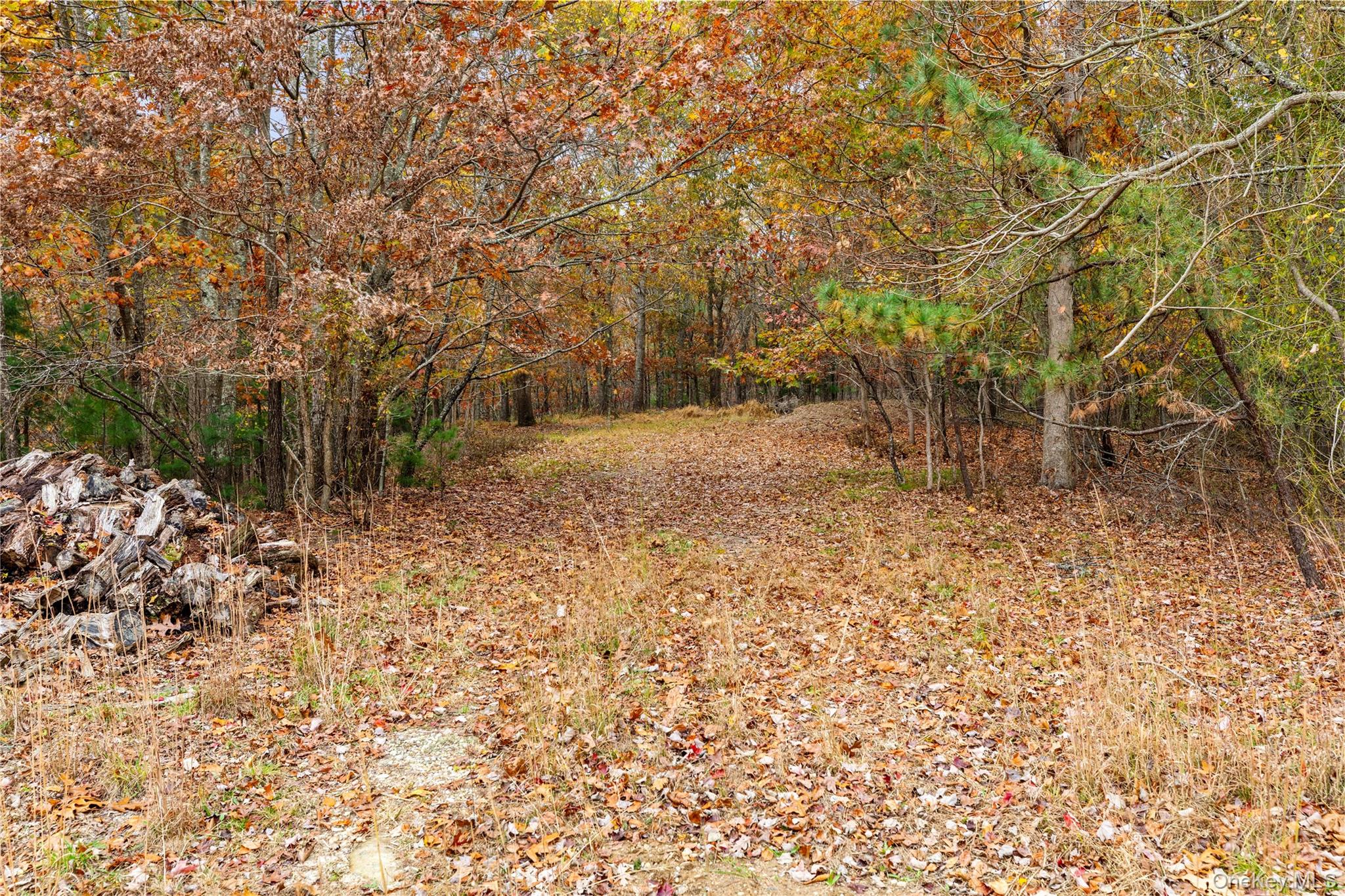 110 East Bartlett Road Middle Island, NY 11953 - Photo 29 of 29 a backyard of a house with lots of green space