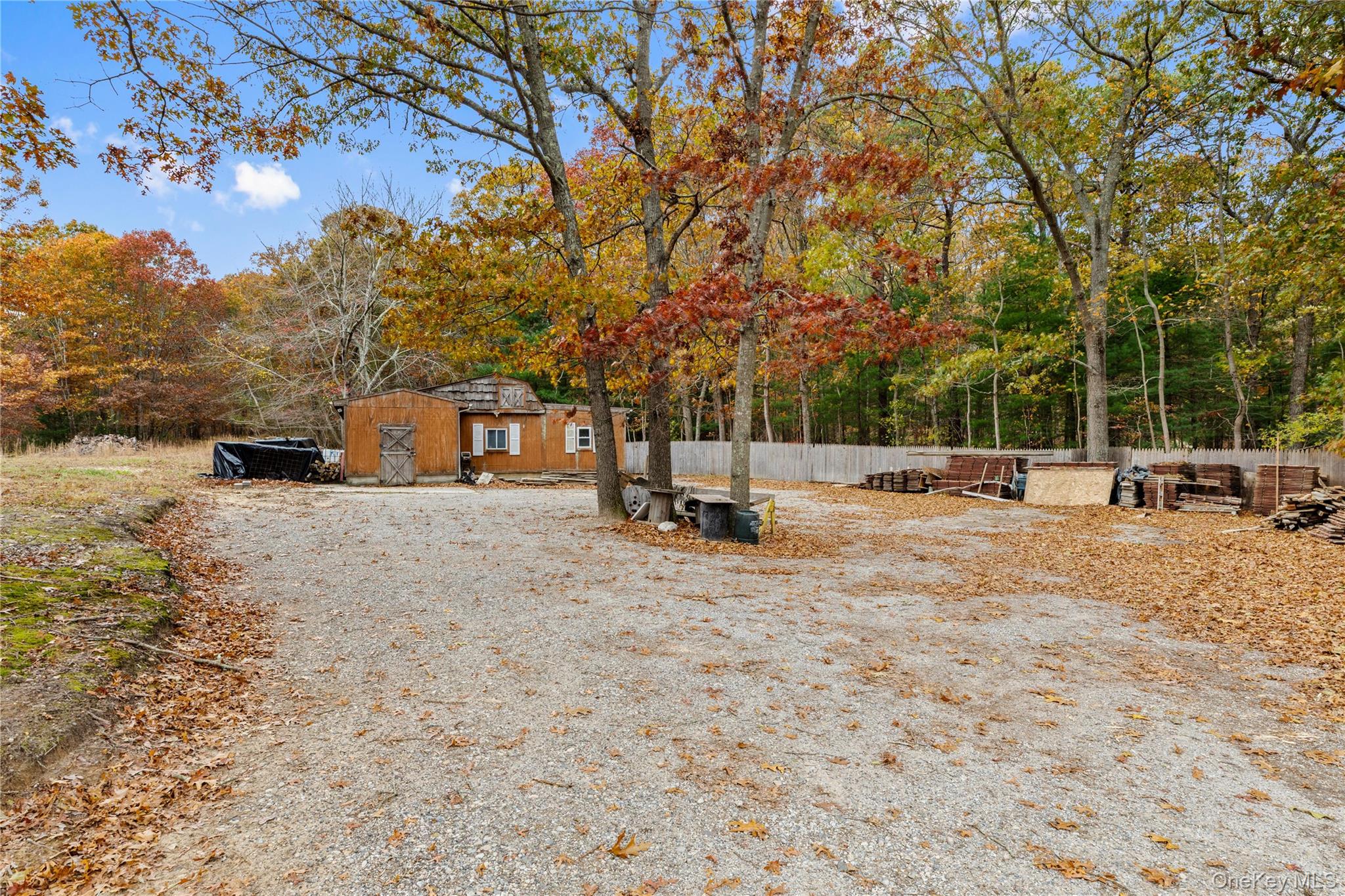 110 East Bartlett Road Middle Island, NY 11953 - Photo 3 of 29 a view of backyard with large trees