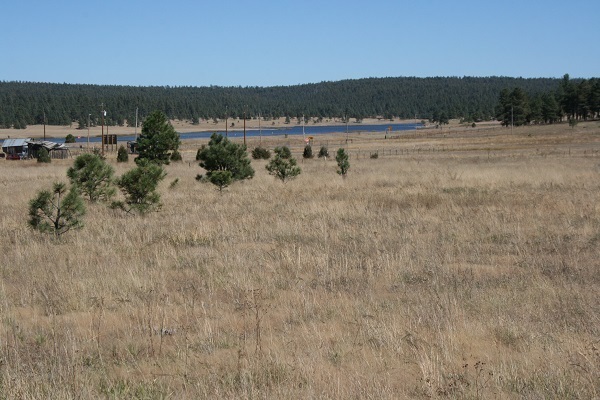 Cr 2111 Alpine, AZ 85920 - Photo 1 of 16 a view of a lake view