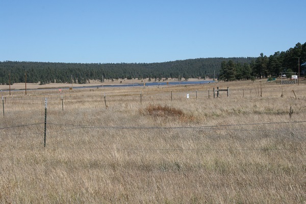 Cr 2111 Alpine, AZ 85920 - Photo 11 of 16 a view of a lake view