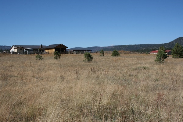 Cr 2111 Alpine, AZ 85920 - Photo 12 of 16