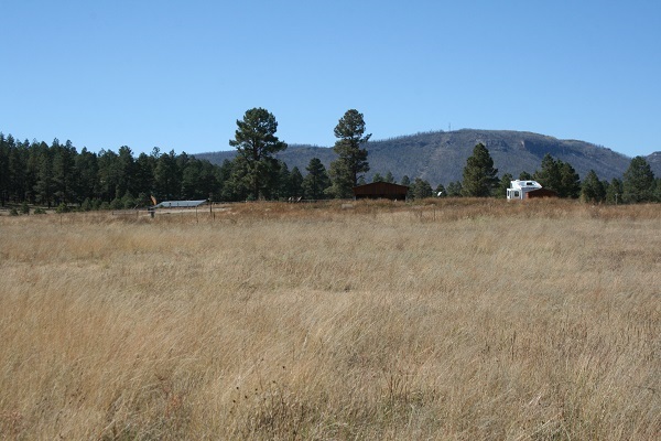 Cr 2111 Alpine, AZ 85920 - Photo 4 of 16 a view of a lake