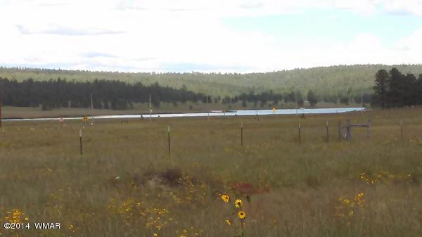 Cr 2111 Alpine, AZ 85920 - Photo 6 of 16 a view of lake with mountain