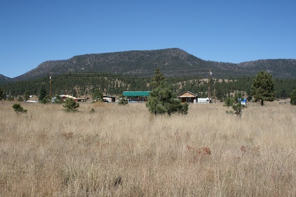 Cr 2111 Alpine, AZ 85920 - Photo 10 of 16 a view of outdoor space with mountain view
