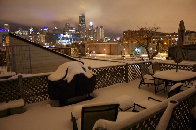 400 North Racine Avenue, Unit 208 Chicago, IL 60642 - Photo 10 of 12