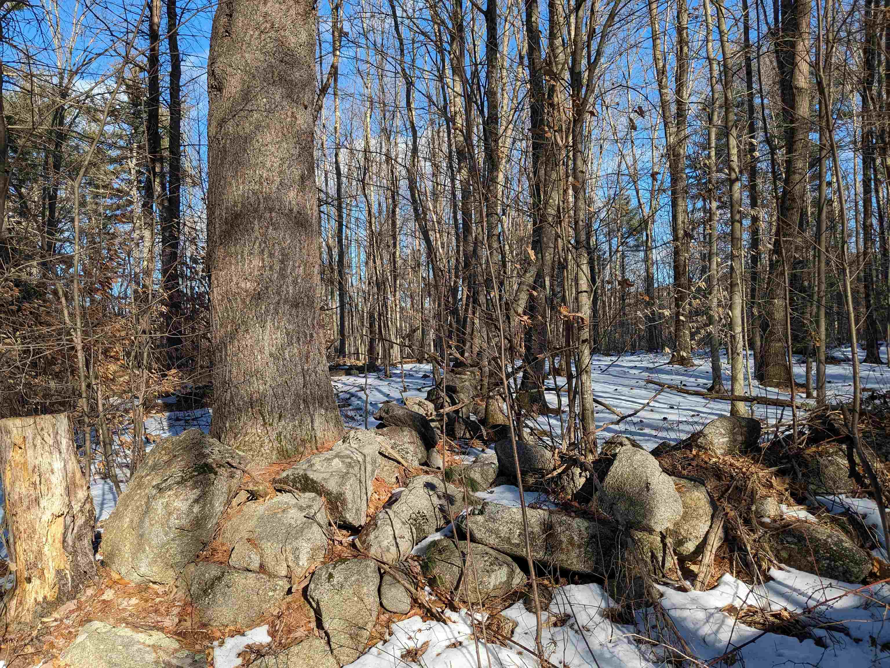 0 Codman Hill Road Deering, NH 03244 - Photo 2 of 2