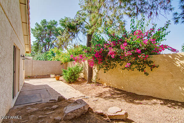 5616 South Jolly Roger Road Tempe, AZ 85283 - Photo 32 of 44 jolly24