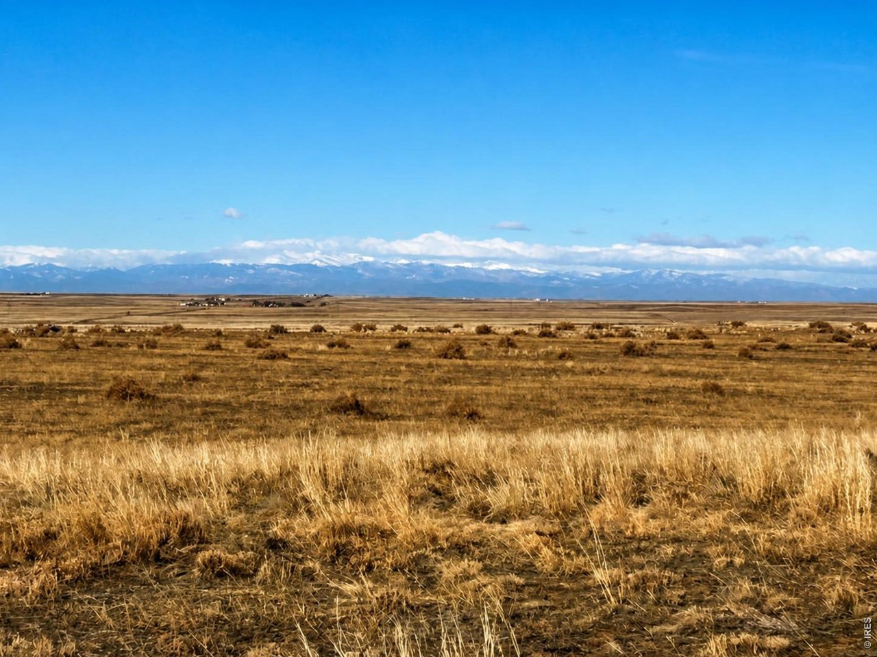 80 County Road Briggsdale, CO 80611 - Photo 3 of 6
