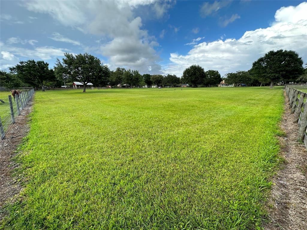 18803 Dorman Road Lithia, FL 33547 - Photo 11 of 13