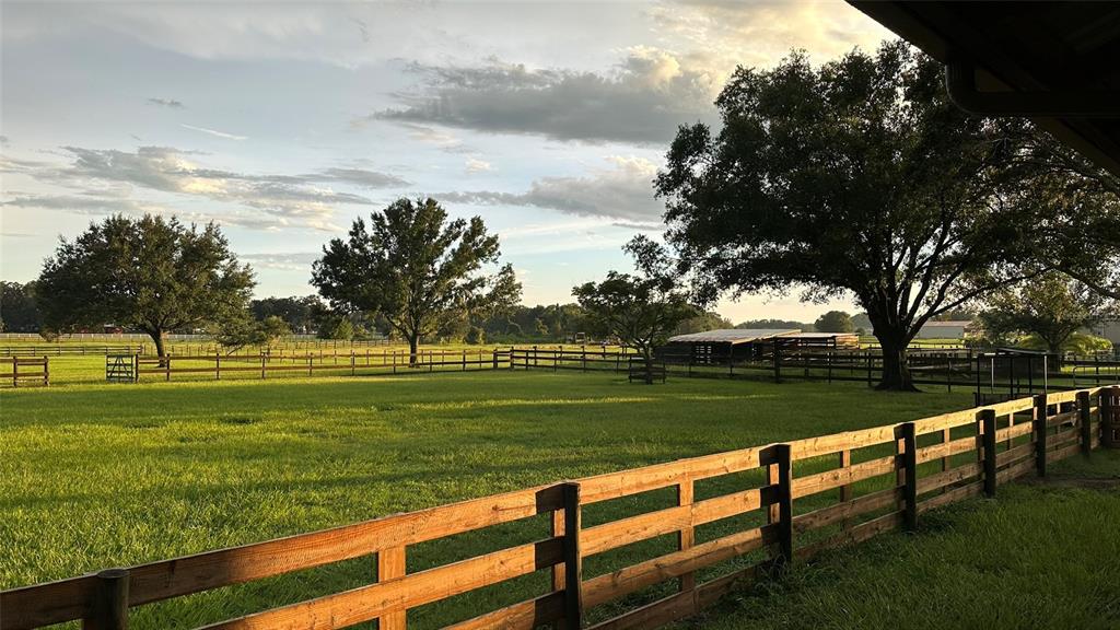 18803 Dorman Road Lithia, FL 33547 - Photo 12 of 13