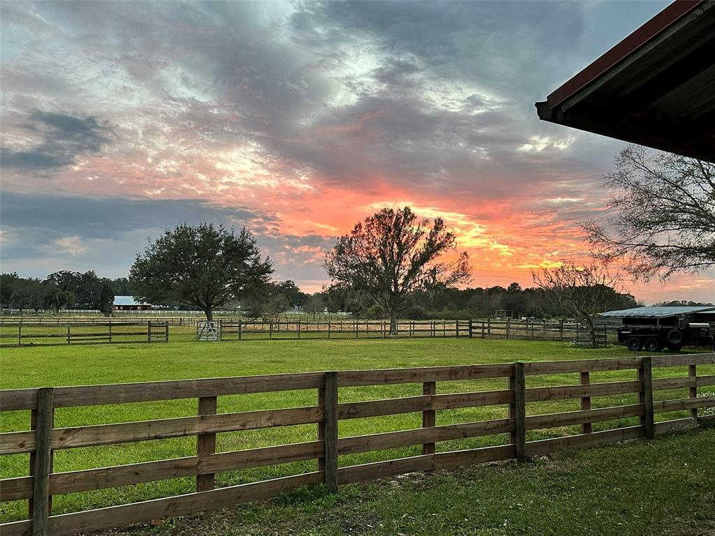 18803 Dorman Road Lithia, FL 33547 - Photo 13 of 13