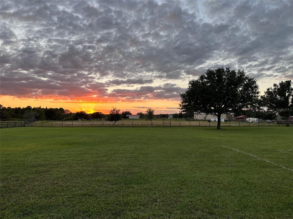 18803 Dorman Road Lithia, FL 33547 - Photo 7 of 13