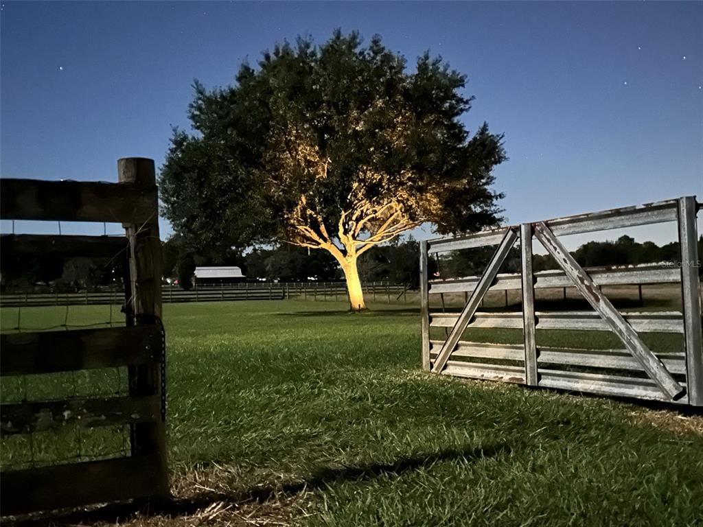 18803 Dorman Road Lithia, FL 33547 - Photo 9 of 13