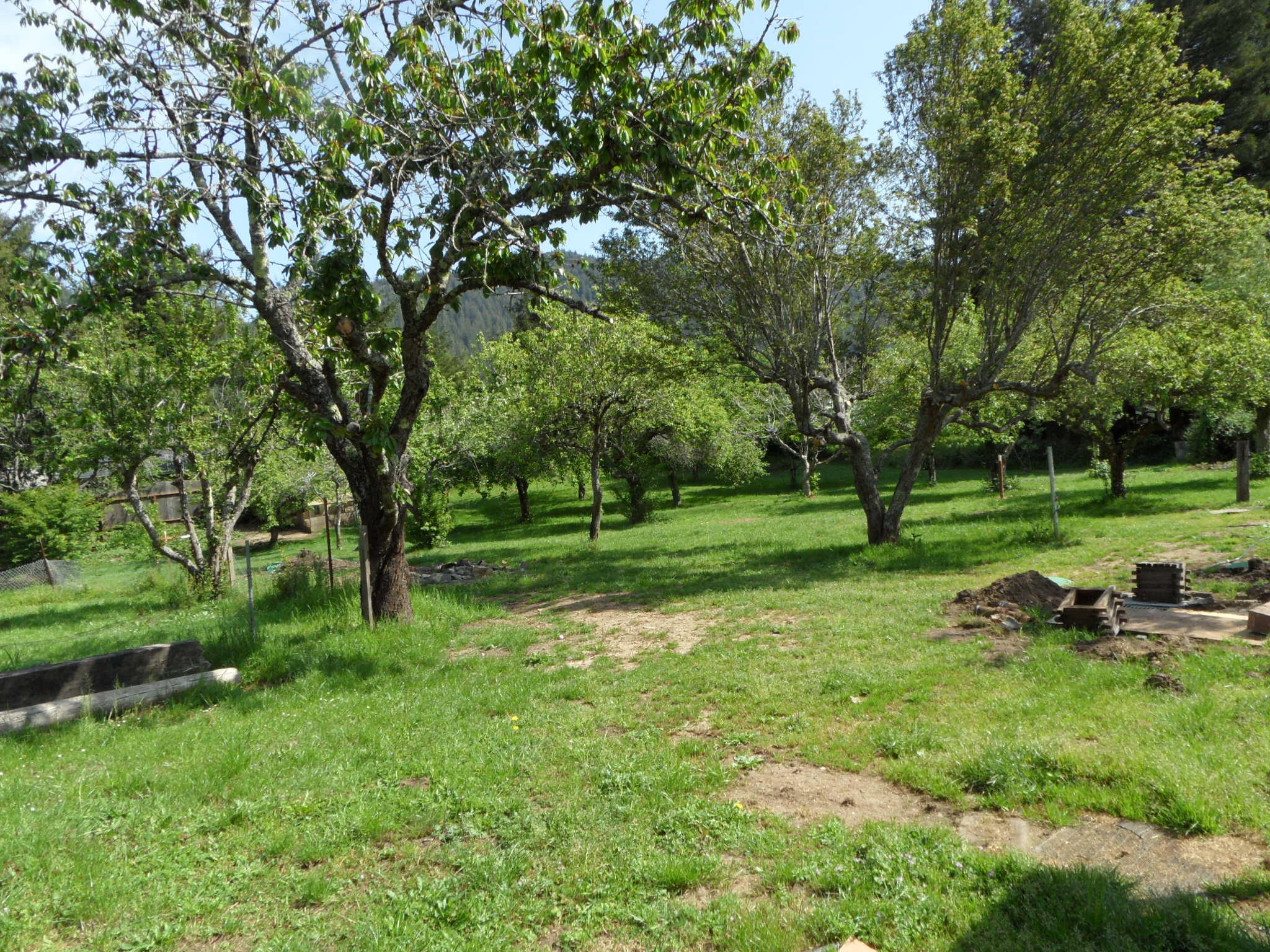 85 Stafford Road Scotia, CA 95565 - Photo 9 of 25