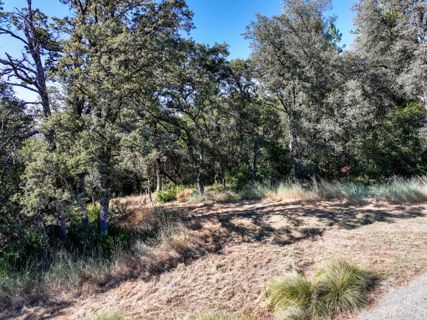 16970 Southridge Road Penn Valley, CA 95946 - Photo 17 of 45