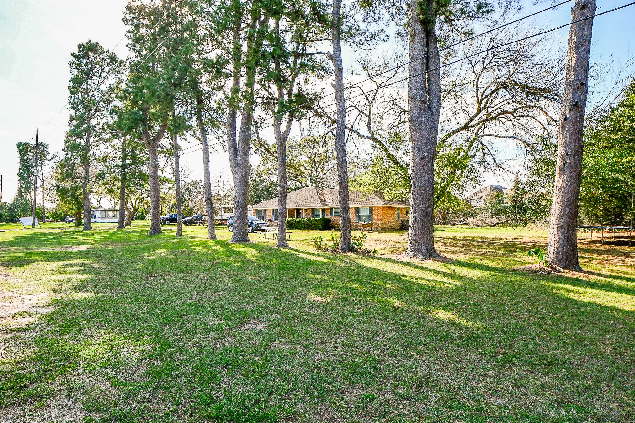 1021-1033 Roesner Road Katy, TX 77494 - Photo 2 of 29 a view of yard with trees