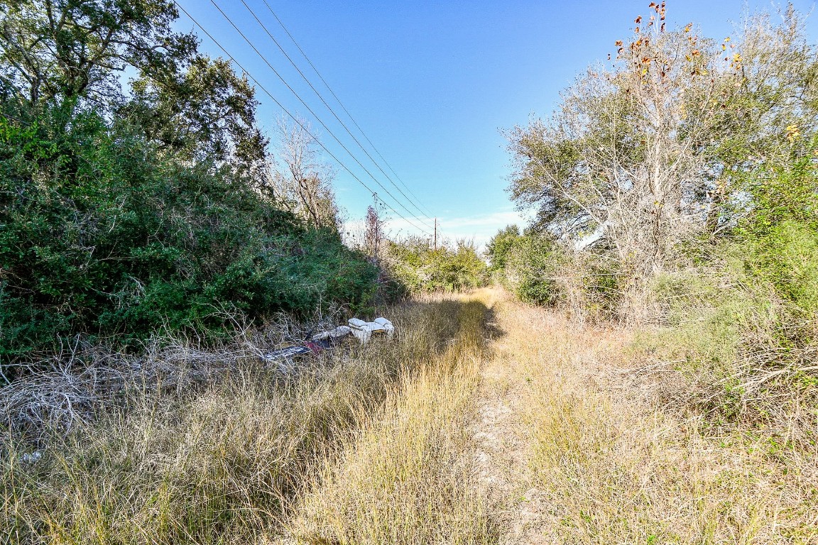 1021-1033 Roesner Road Katy, TX 77494 - Photo 28 of 29 a view of a lake with plants and trees