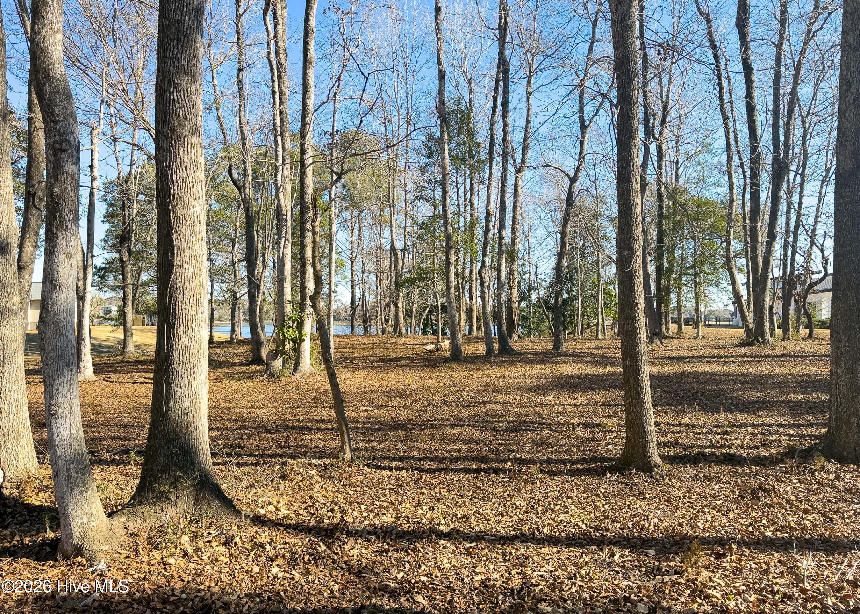 Lot 17 Redd Banks Lane Hampstead, NC 28443 - Photo 11 of 44 17 Redd Banks Ln MLS-13