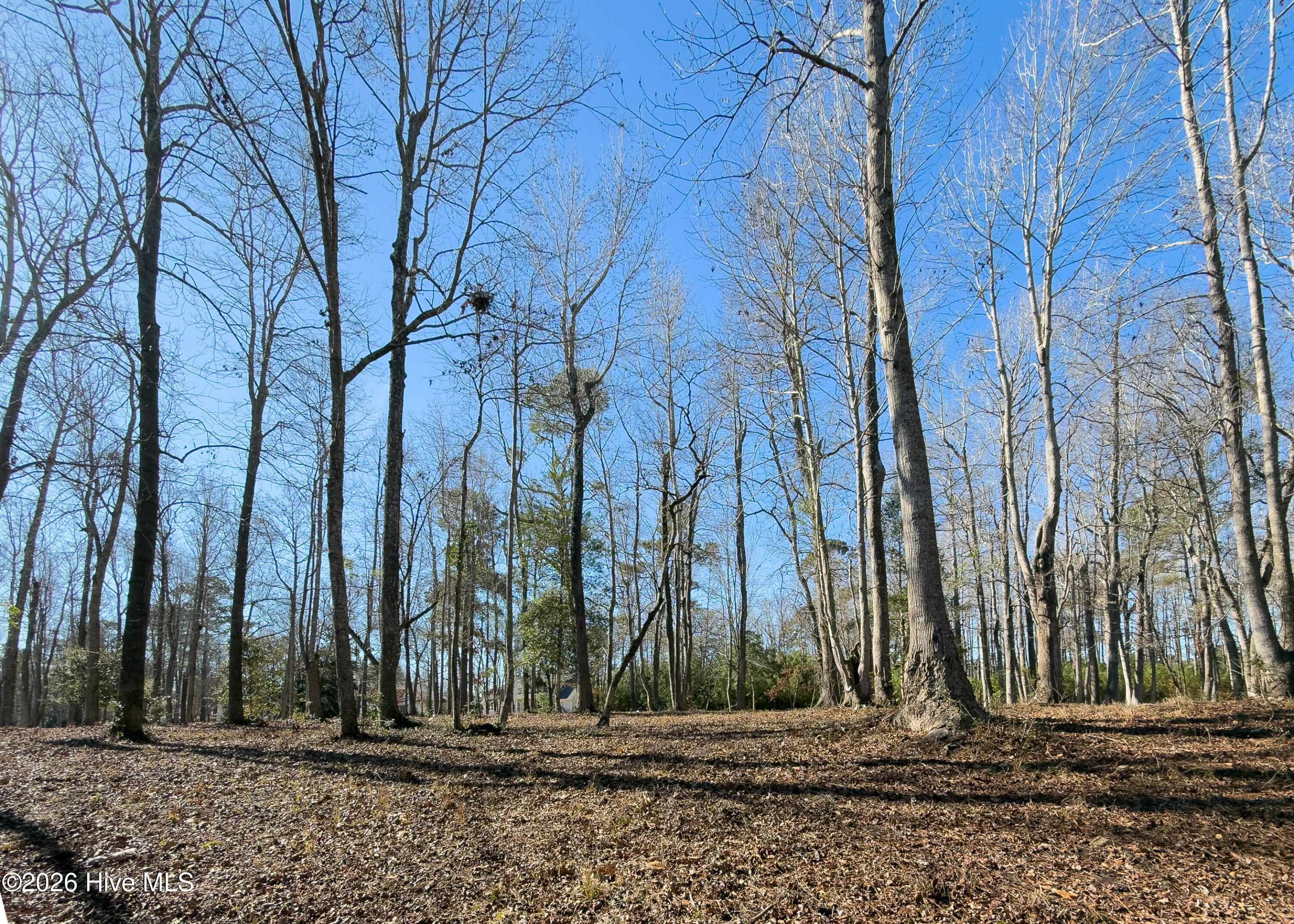 Lot 17 Redd Banks Lane Hampstead, NC 28443 - Photo 20 of 44 17 Redd Banks Ln MLS-23